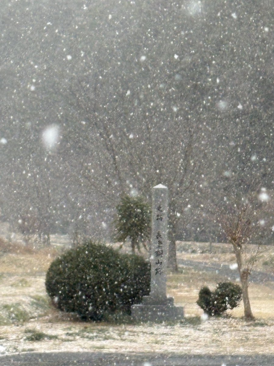 朝10時の様子です。1時間前(右側)より周辺が白くなってきました☃️

#雪 #長登銅山文化交流館 #大仏ミュージアム #美祢市 #山口県