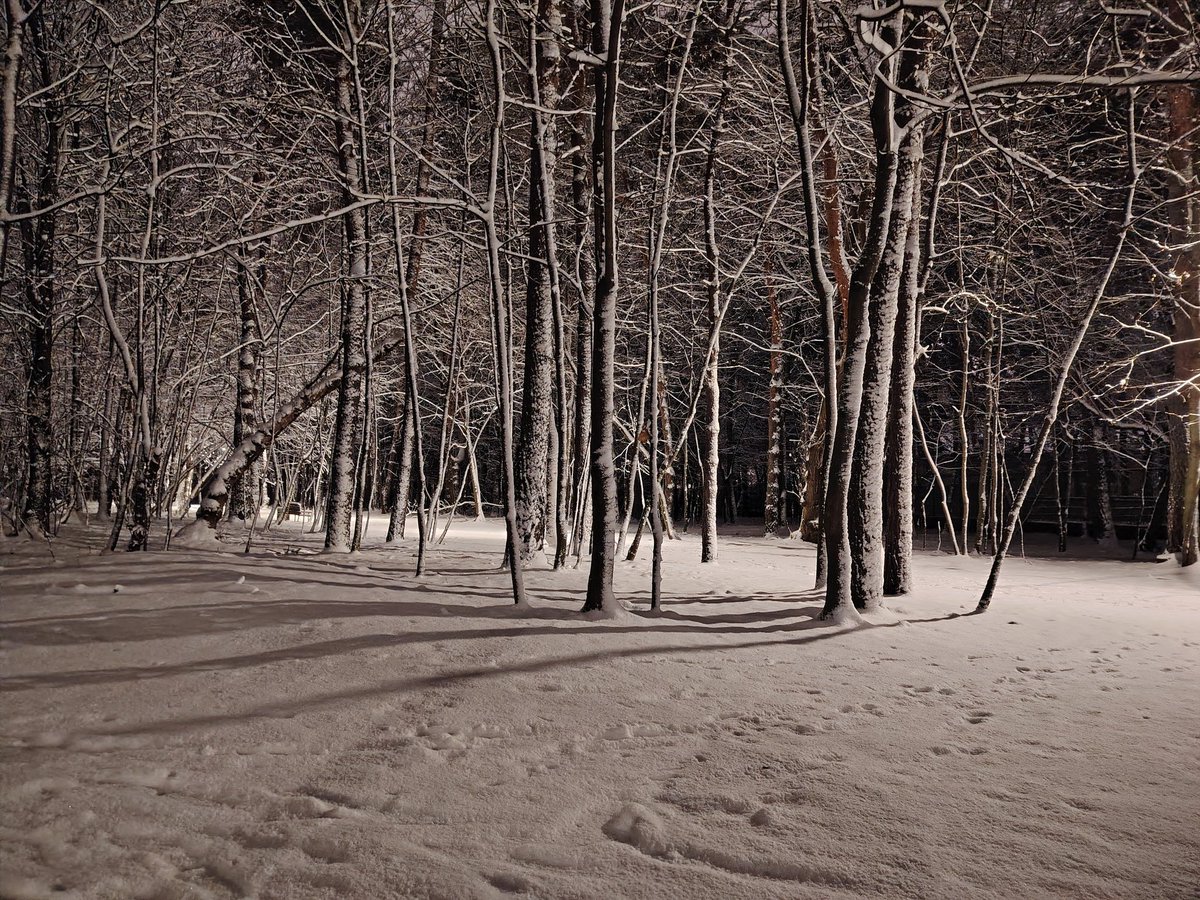 koala_genscher's tweet image. Просто бы выпить бутылку водки на этой лавке. Одному, спокойно. Лечь на ней и не проснуться.
И не думать больше ни о чём.
Ни о чём никогда.