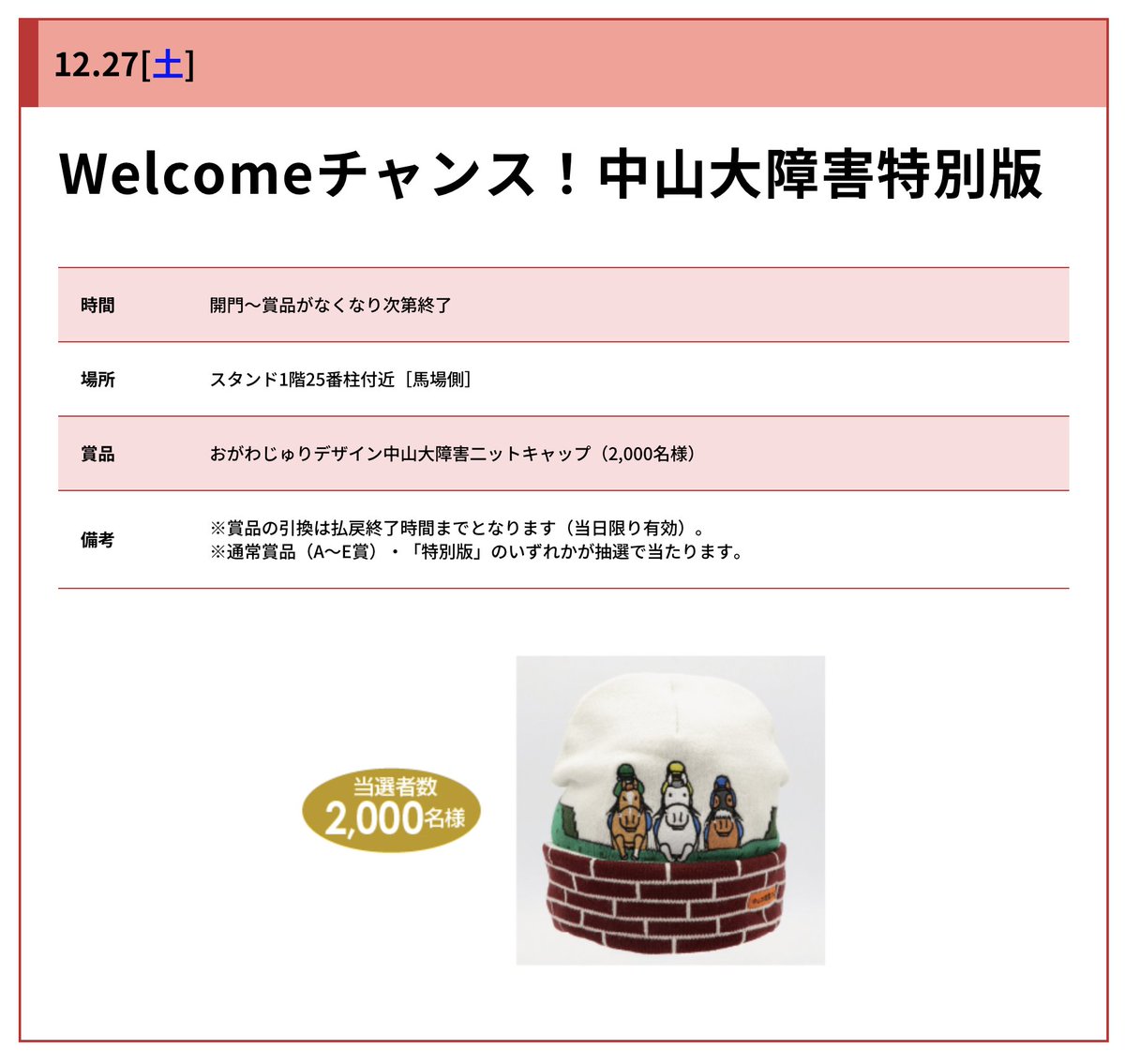 中山競馬場の特別チャンス！】 明日、中山競馬場では 中山大障害が行