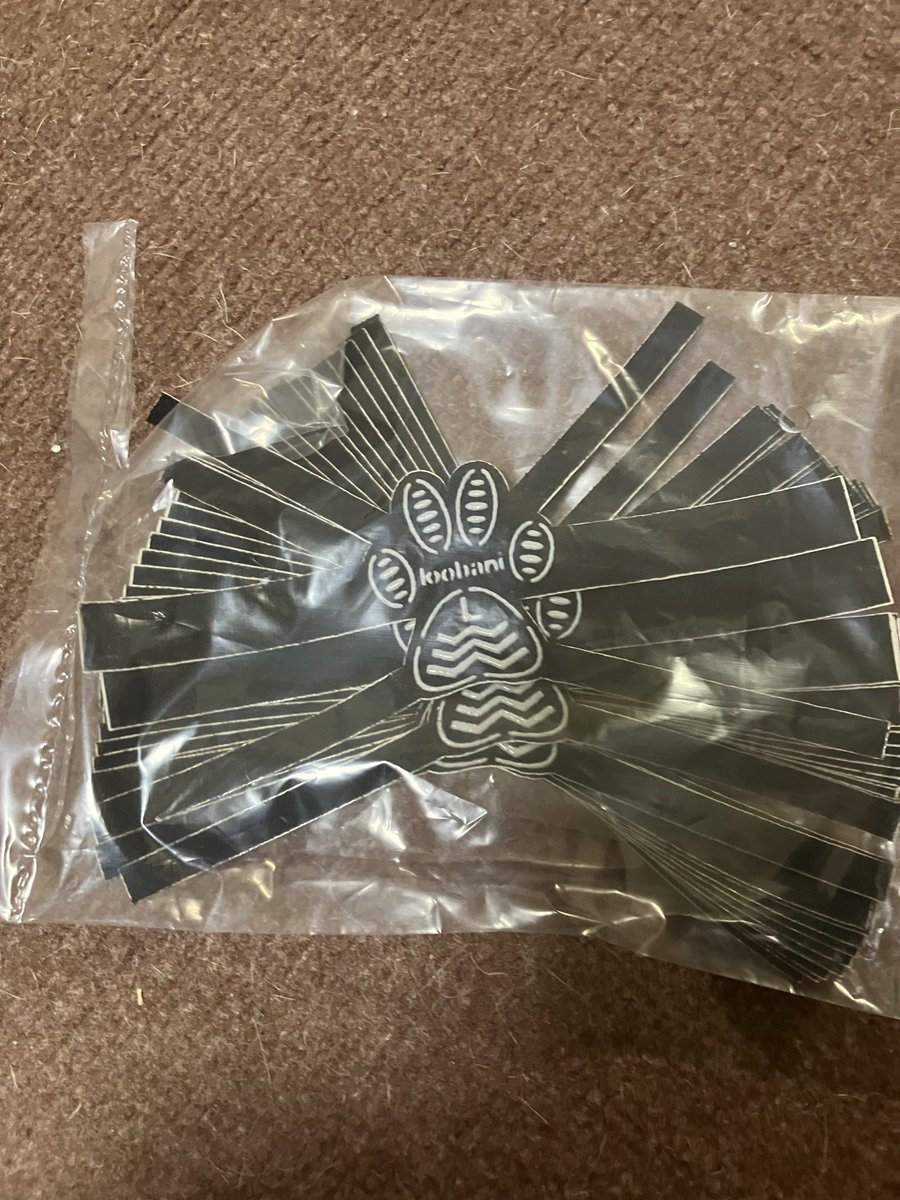 yuka🐕 ͗ ͗ (@YkkHaru) / Posts / X