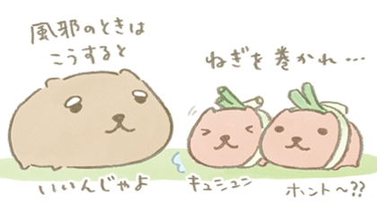 カピバラさん【公式】 (@FROM_TRYWORKS) / Posts / X