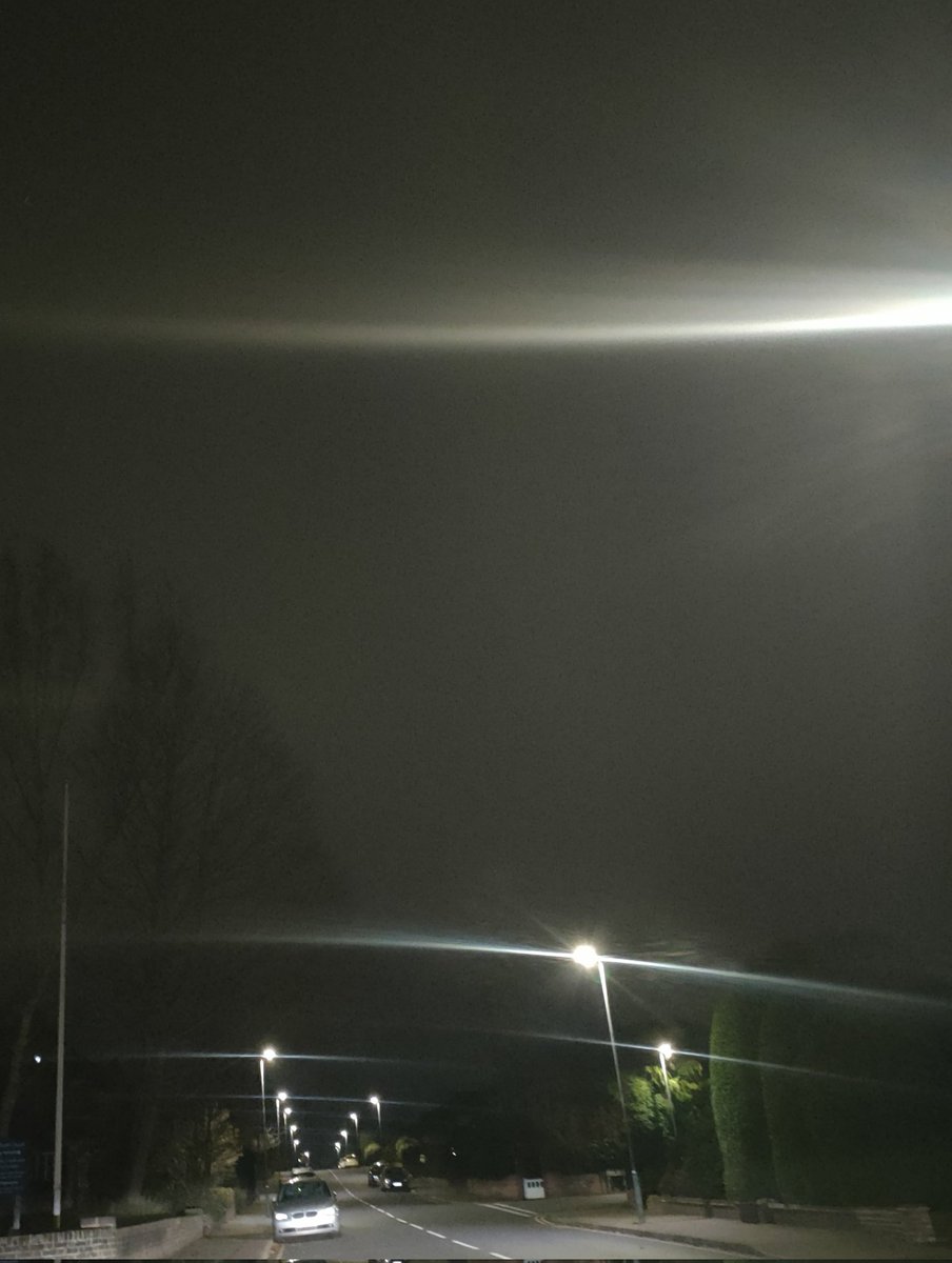 SLAIN South London Animal Investigation Network tweet media