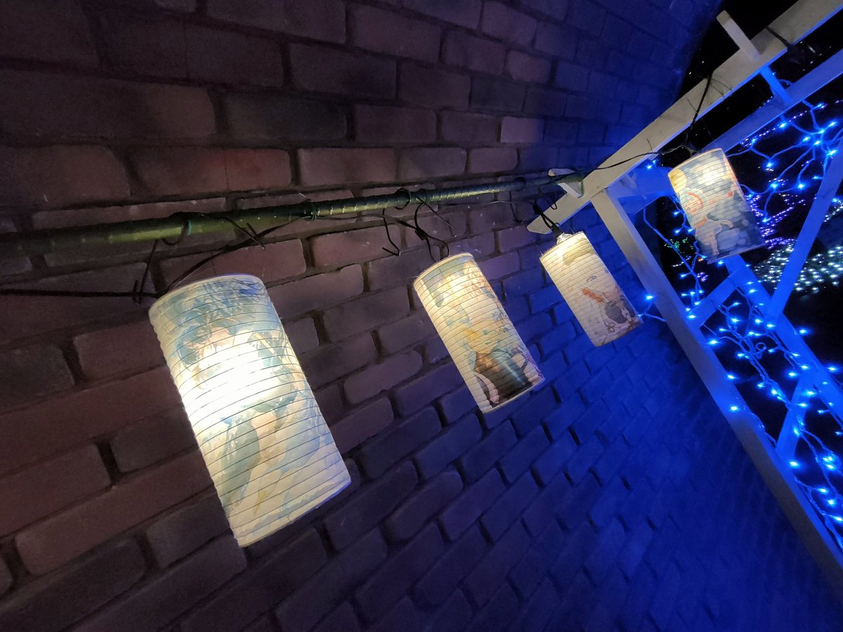 私のスマホだと、うまく写真が撮れませんでしたが、今年の #長良公園イルミネーション 2025の提灯のラインナップはこちらでした🌸✨

長良公園イルミネーションの復活から、毎年関わらせていただいているので、続くといいなと思っています😊私、これ好きー！って声も聞こえたりして嬉しかったです💕