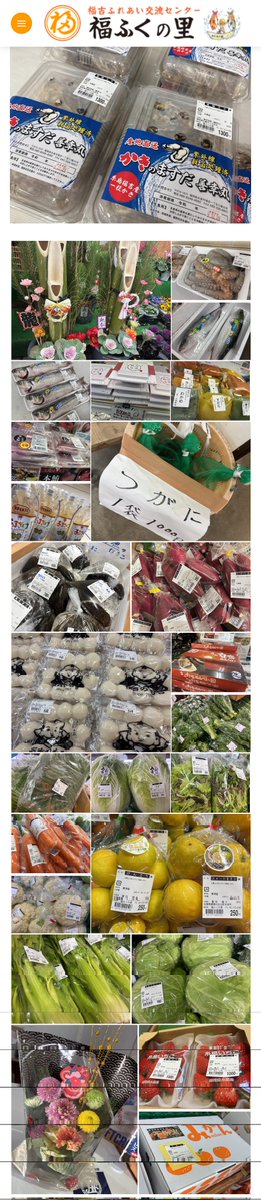 12月26日（金）採れたて！
#福ふくの里
やっと冬らしい朝を迎えました᥀֭֜❄۫˖ 山を見るとうっすらと白くなっています⛄自分が小さい頃はこんな日がもっと多かった気がします🧒その頃を思い出してちょっとうれしい気分です☺️皆様どうぞ暖かい服装でお越しくださいませ🙇🧣🧤➡️fukufuku-sato.com/12%e6%9c%8826%…