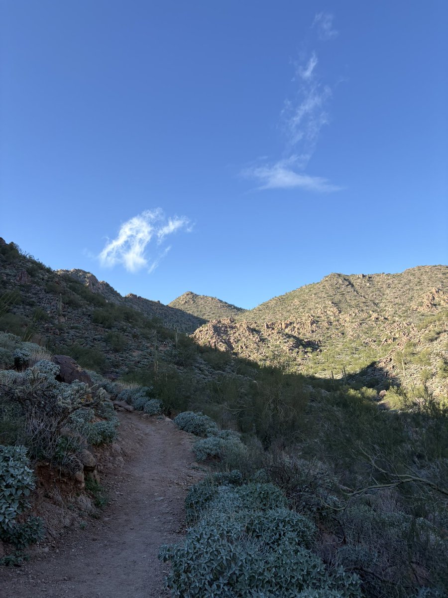 PiersonHozza27's tweet photo. Christmas day hike. Grateful to live in such a beautiful place
#softball #uncommitted2027 #arizona https://t.co/4mhnJEMhx5