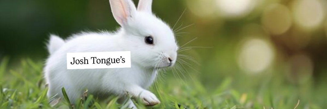 CharlieCooke_ tweet media