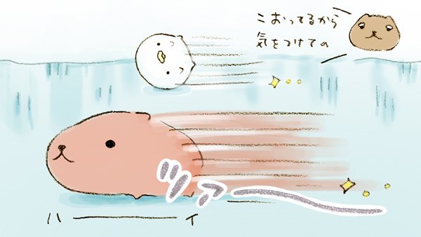 Post by カピバラさん【公式】 on X: ツァ～