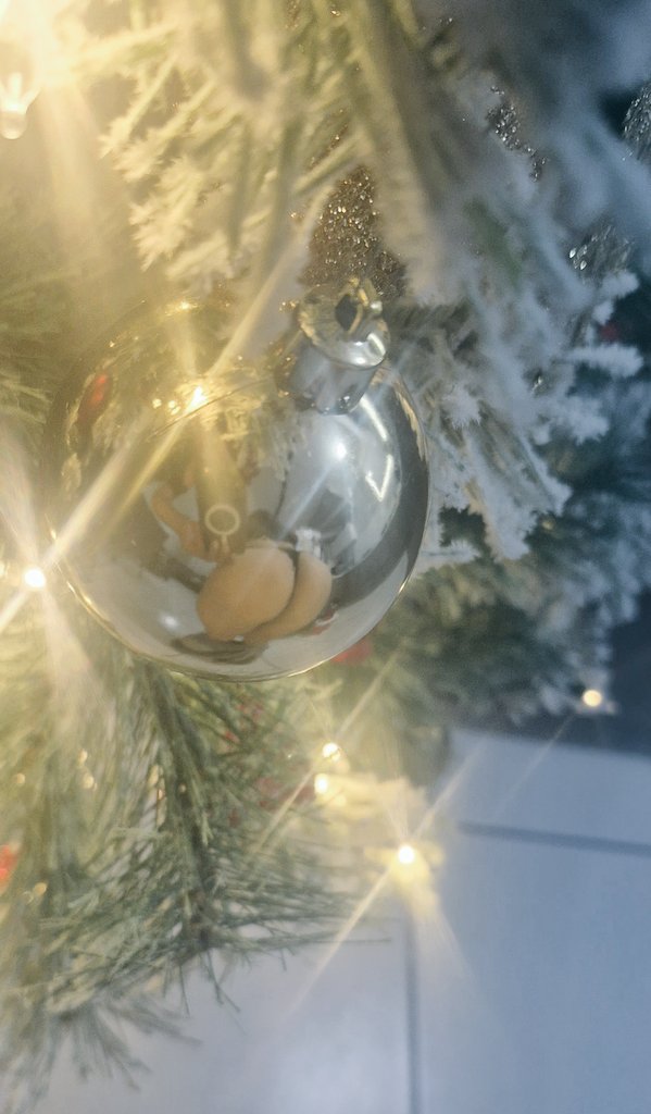 Feliz navidad!!🎄😉