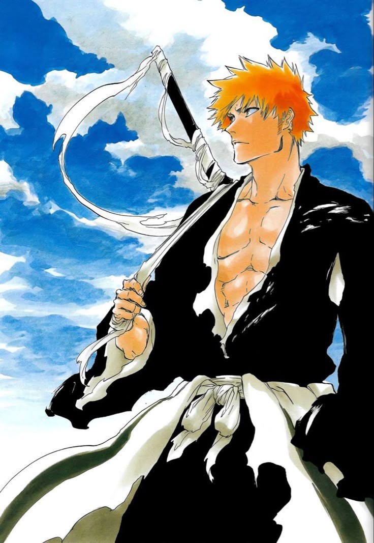 BrasileiroChild's tweet image. Ichigo vs Sora
