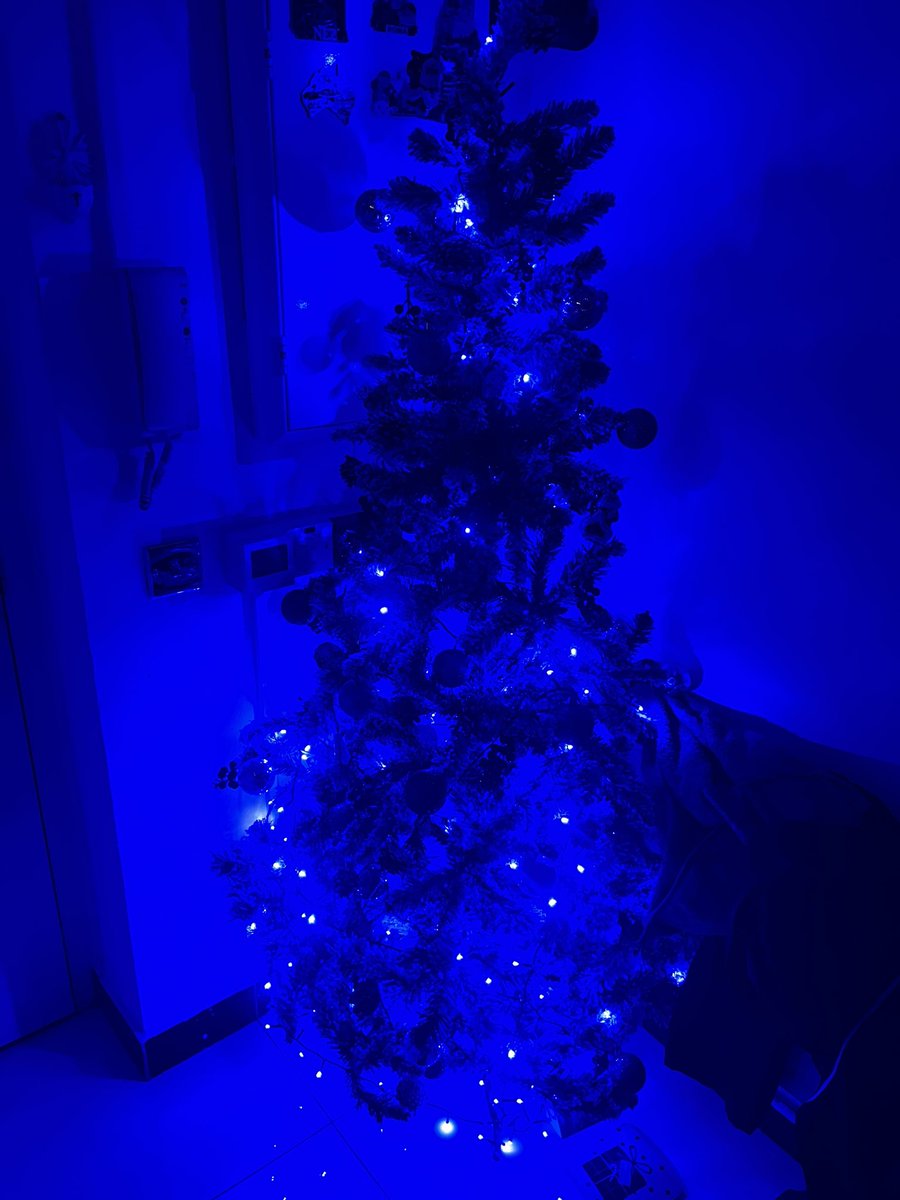 christmas turkey (i am a cheffers) and tree