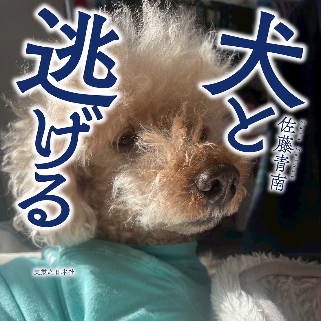 実業之日本社【公式】 (@jippi_pr) / Posts / X