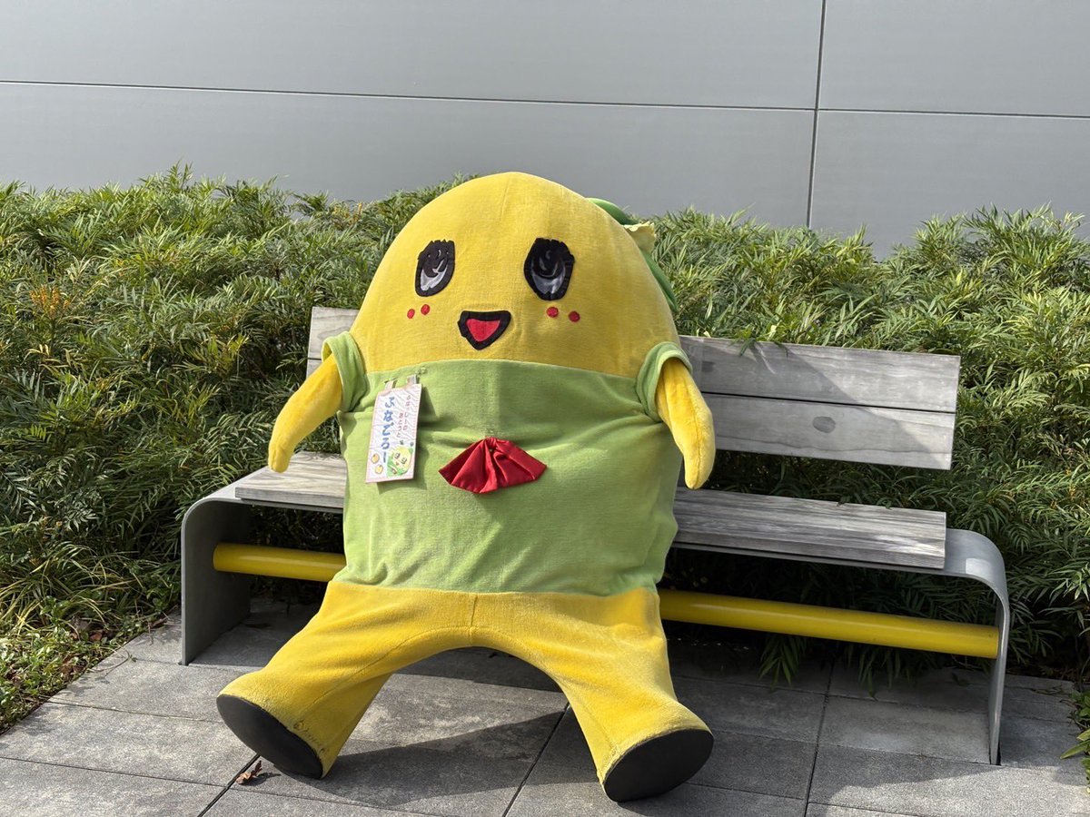 ふなっしー様せんよう 今年も美味しい船橋の梨が沢山実ります様になっしー♪ヾ(。゜▽゜)ノ箱