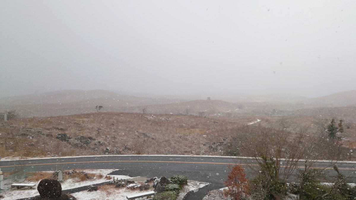 秋吉台上は吹雪いています。草原や歩道には雪が積もり始めました。
