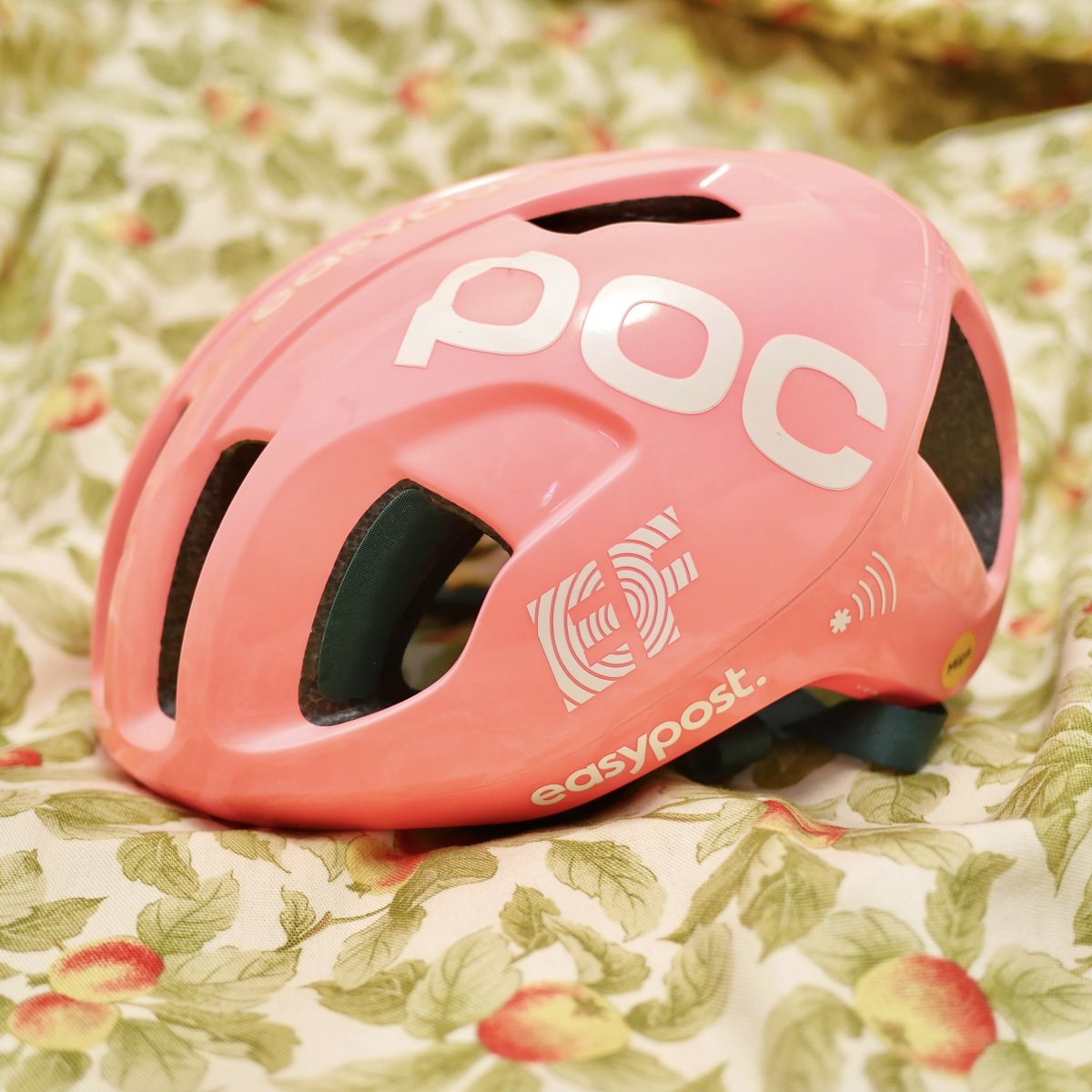 選手支給品 EFエデュケーションイージーポスト 非売品レインバッグ プロチーム 選手支給品 EFエデュケーションイージーポスト 非売品レインバッグ