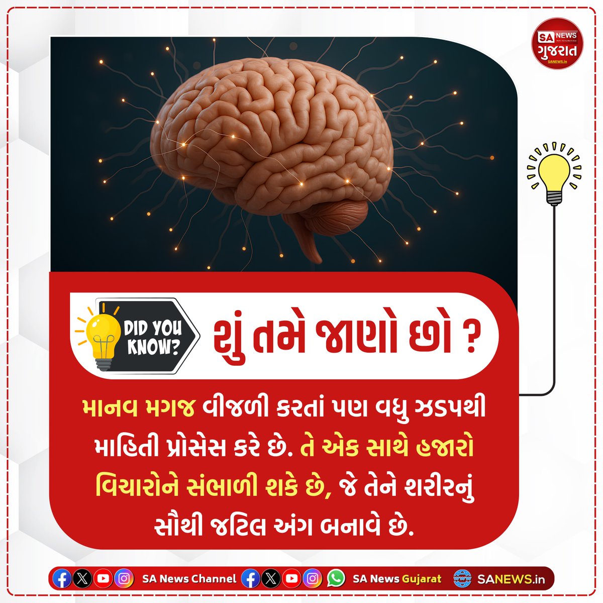 SANewsGujarat's tweet photo. DID YOU KNOW!
#SANewsGujarat #SANews #Facts #GK #QUIZ #POLL #Generalscience #Factfull #viral #Viralfacts #TodayFact https://t.co/GllozkGHYO