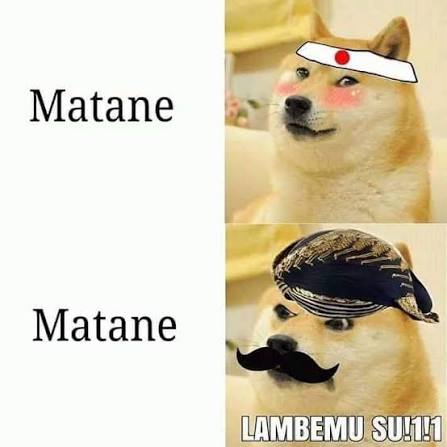 thechadsenate's tweet image. 