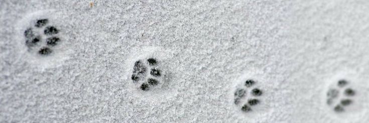 tsjunami's tweet image. ini lewat gak? #zonauang