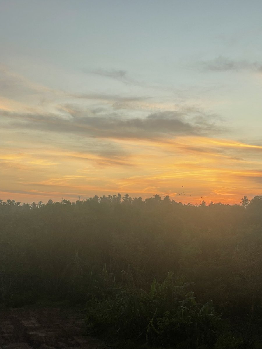 එන ළහිරු කිරණ මෙතරම් !! 🌞✨

G O O D   M O R N I N G ♡