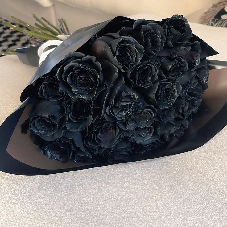 𝕰𝖉𝖌𝖆𝖗 & 𝕰𝖑𝖑𝖊𝖓 tweet media