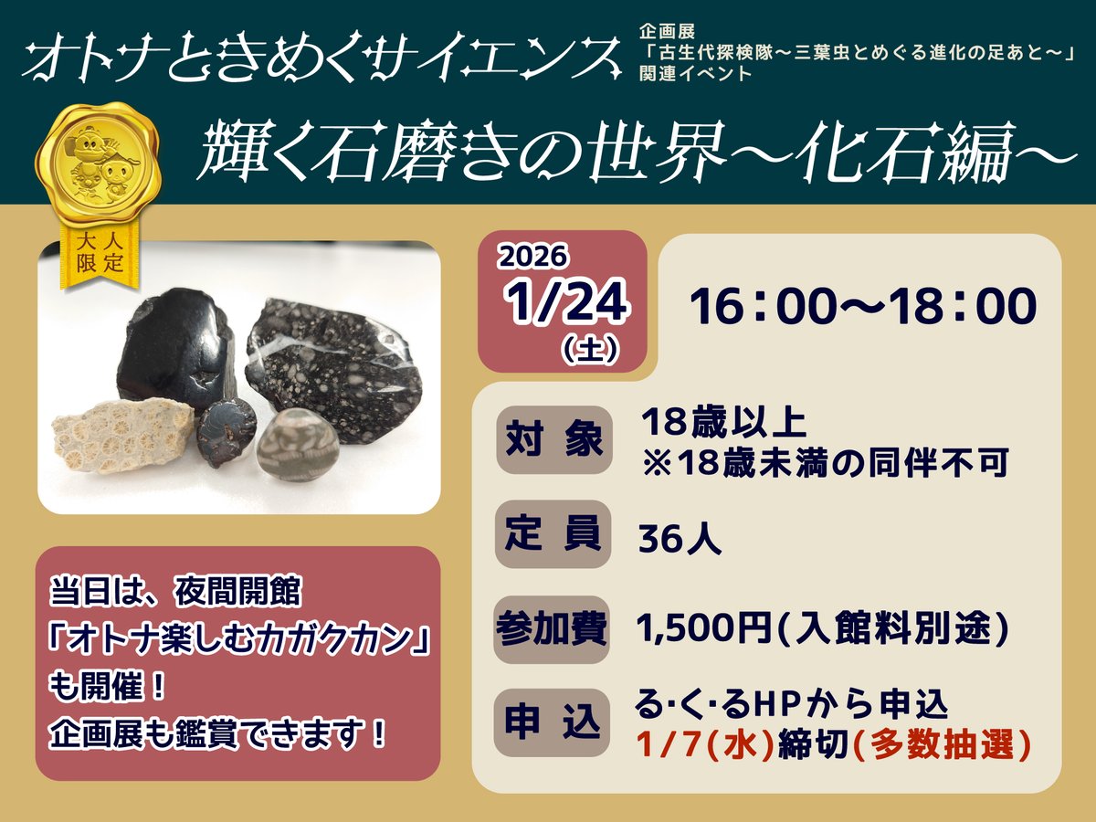 鑑賞石　化石 🌃本日申込締切！🌃 1/24㊏開催 オトナときめくサイエンス 「輝く石