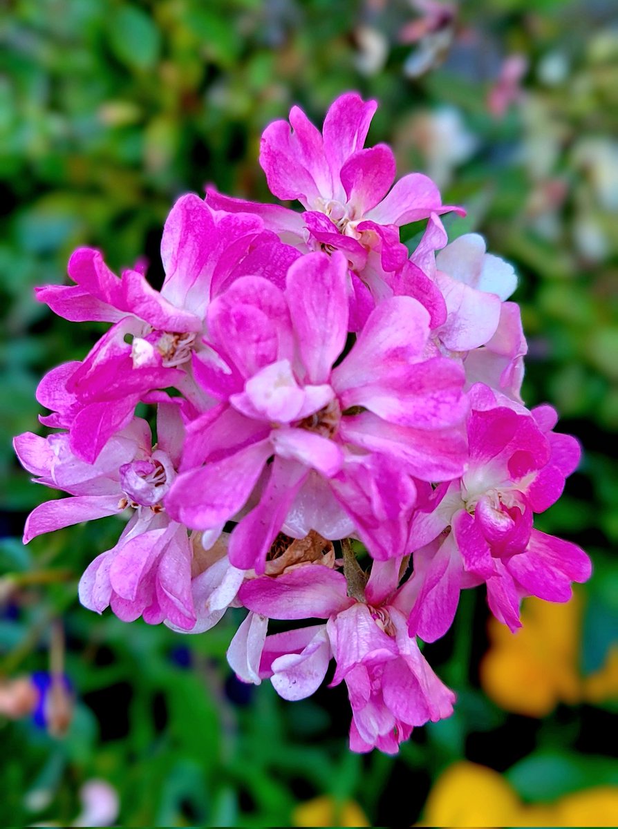 ちゅん (@aebBN6iwx957557) / Posts / X