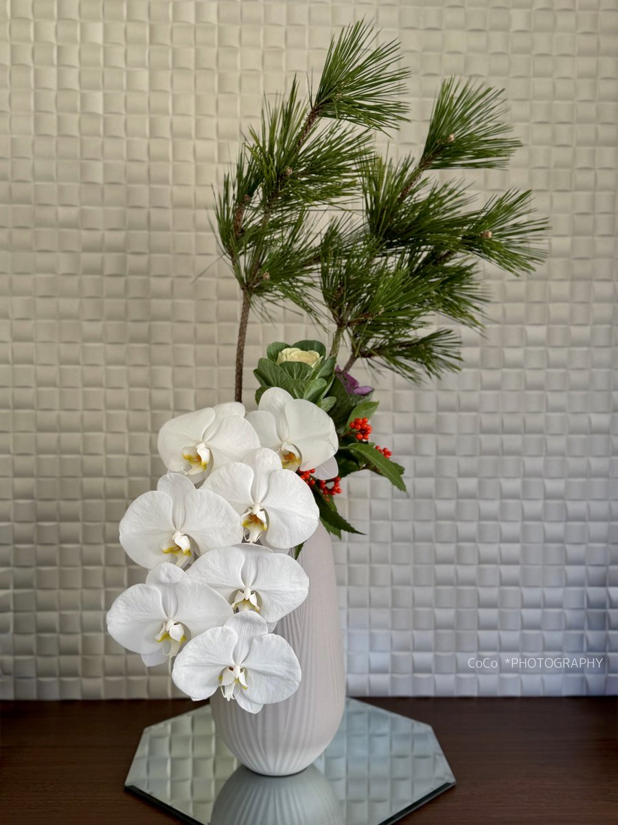 cokucoさま確認ページ♡ ecoco】シリアルナンバー・パスワード確認方法 - YouTube