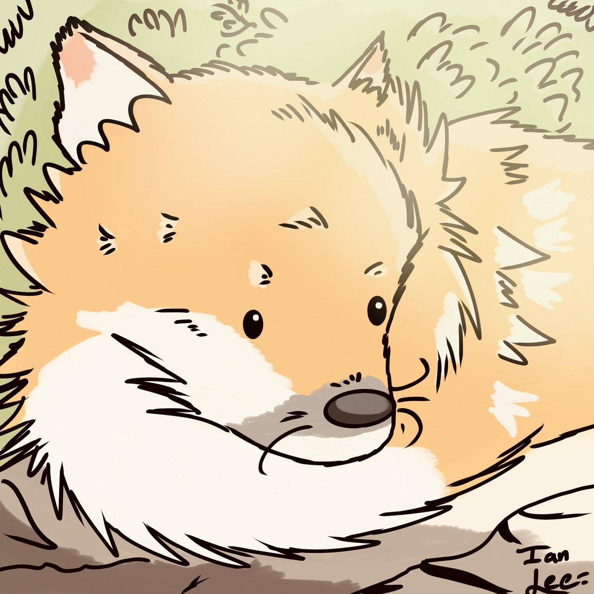 Art of my pup #dogart #art #pomeranian #digitalart