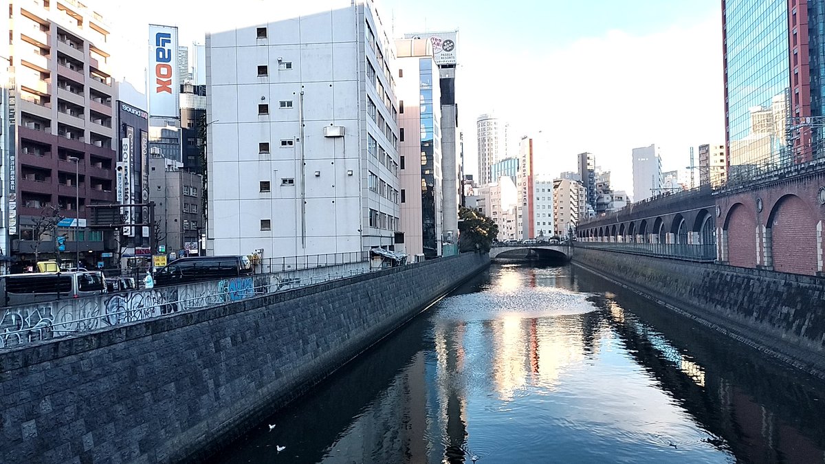 chartcube's tweet image. しごおわ
今年はもうお休みなので秋葉原散策