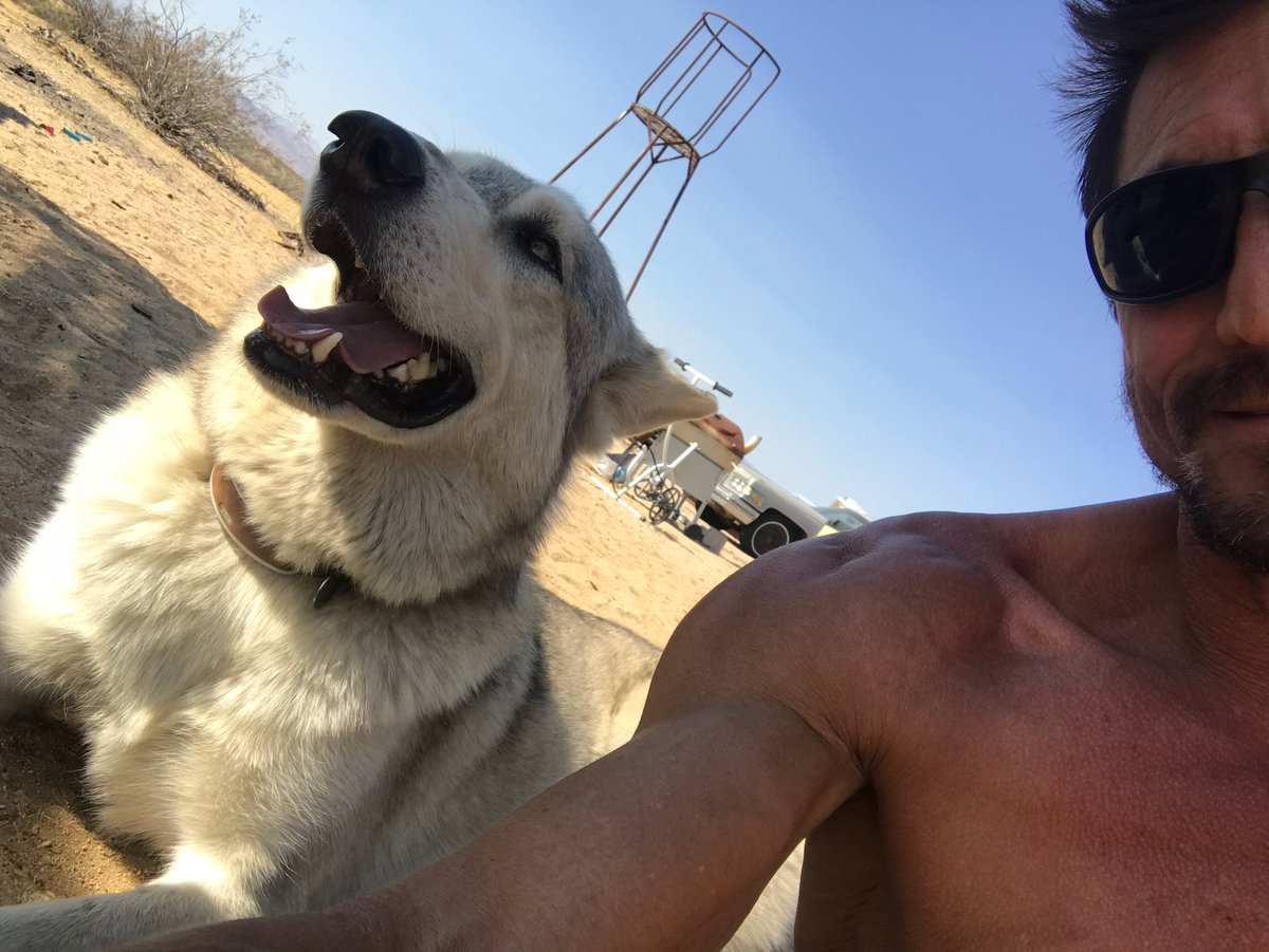 tommygunnxxx's tweet photo. Just me and a good reason to smile. 🐾 #throwbackfriday #cutedog #aborable https://t.co/t2gZlpxWwq
