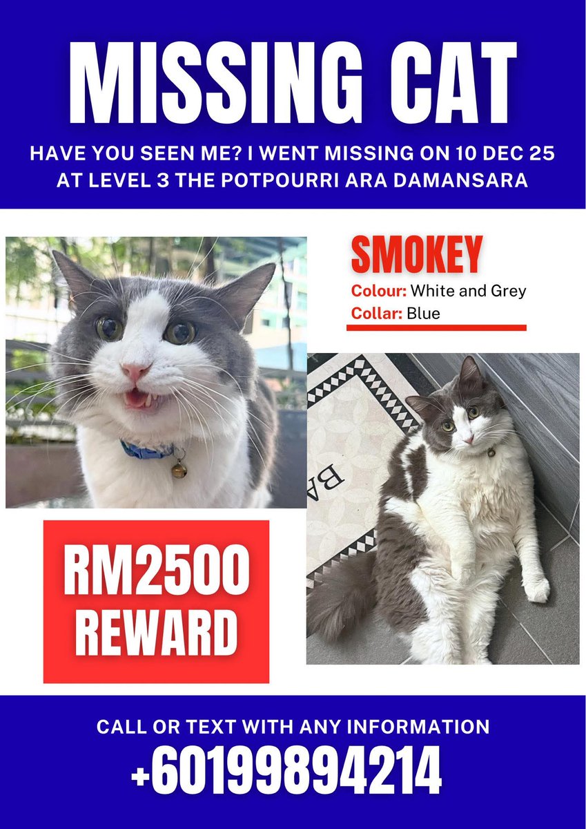 Mirul_Amirul tweet media