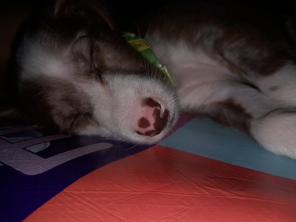 dreffaa_ tweet media