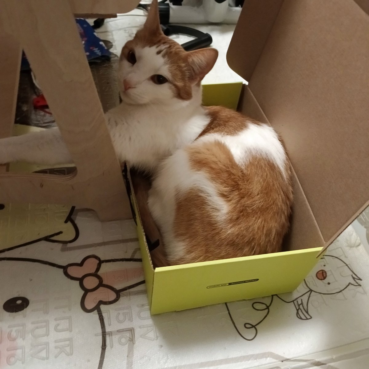 Да,мне удобно