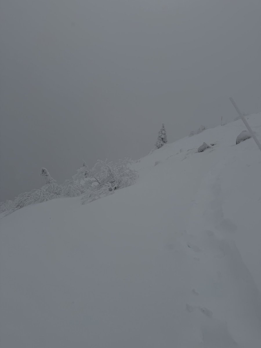 brea_current's tweet photo. 蓼科山山頂付近より
景色とは https://t.co/NGri28SVBj
