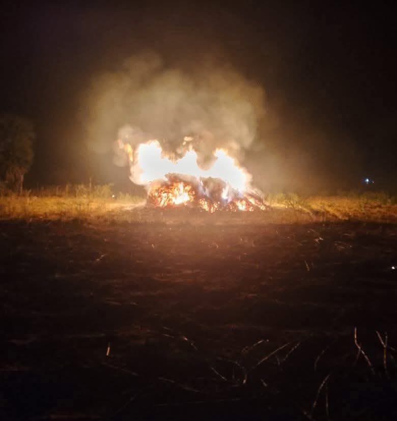 maxzybb's tweet image. 