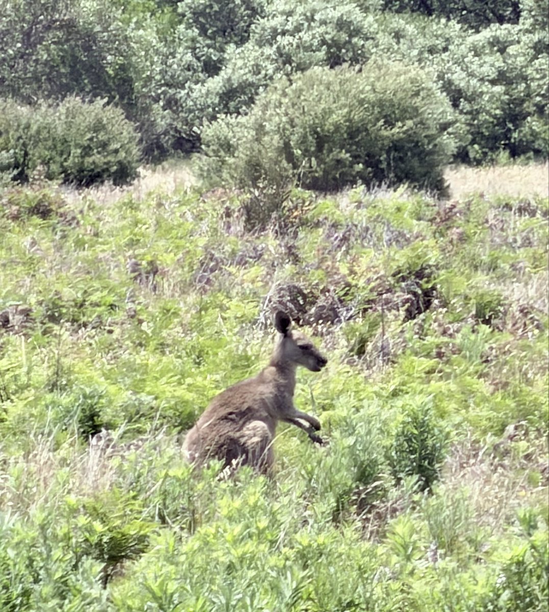 Jasmin ᵕ̈ tweet media