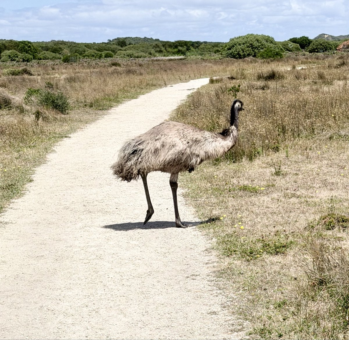 Jasmin ᵕ̈ tweet media