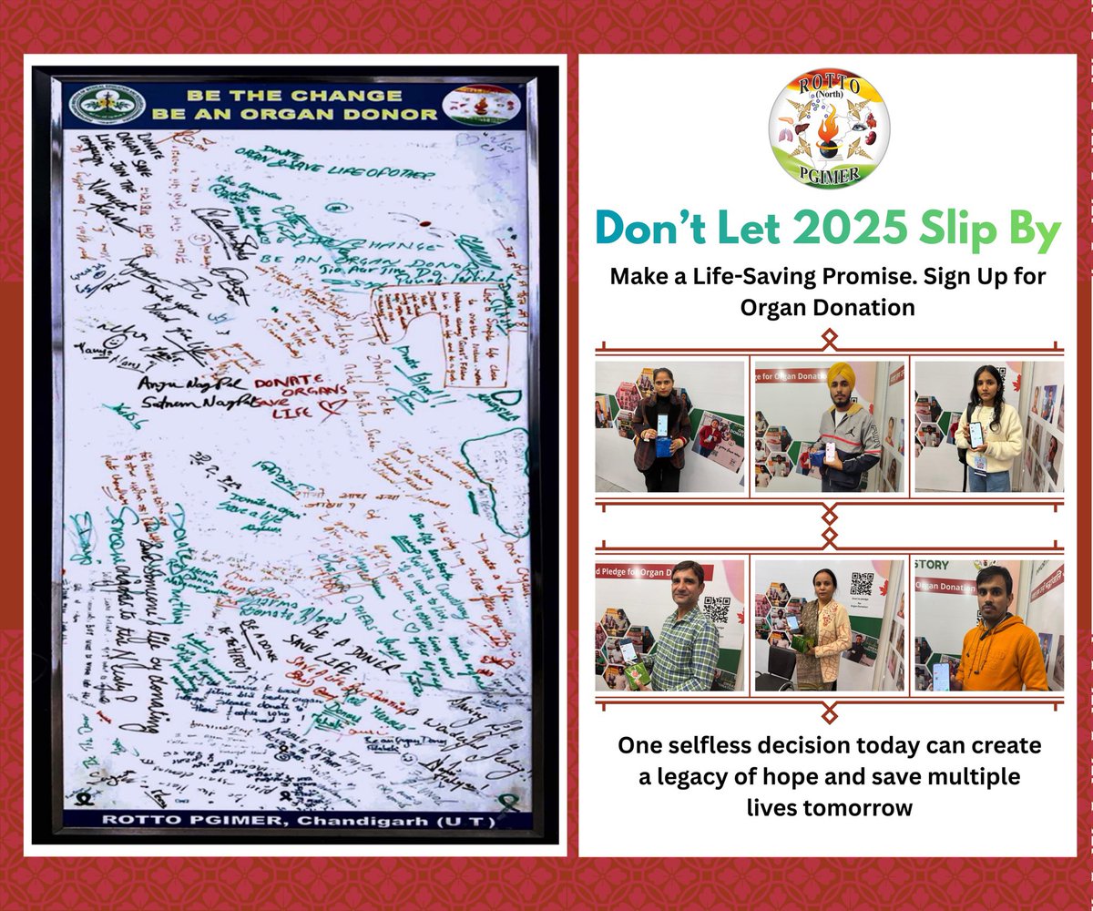 ROTTO NORTH tweet media