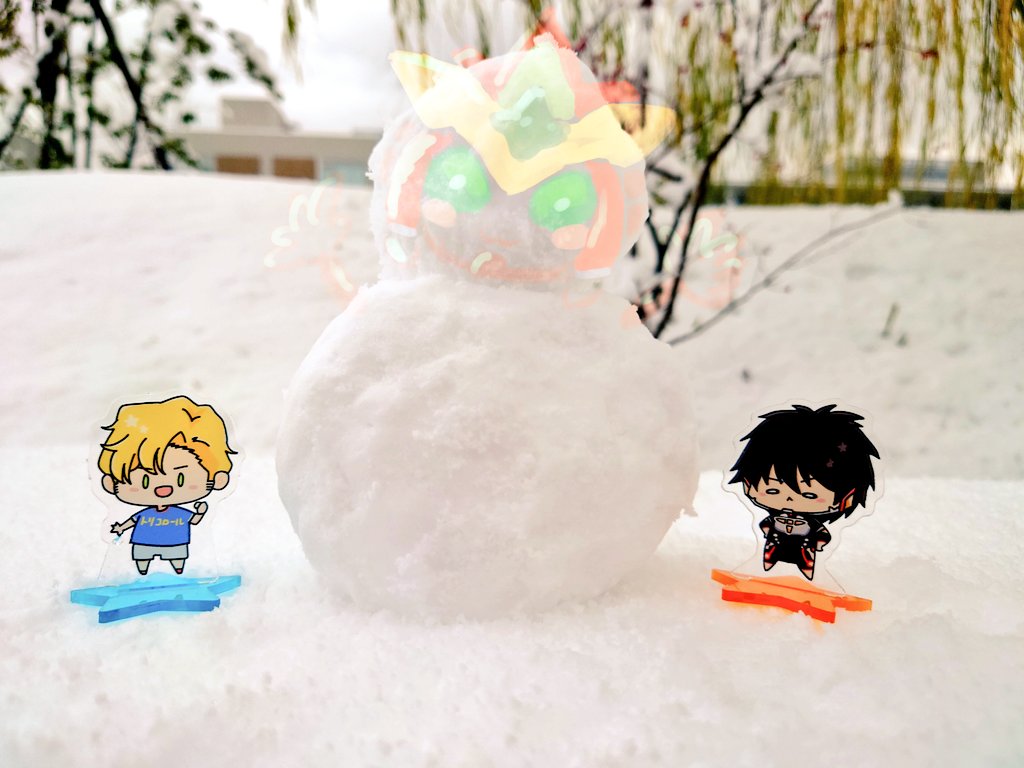 ちょっとだけ❄積もりました