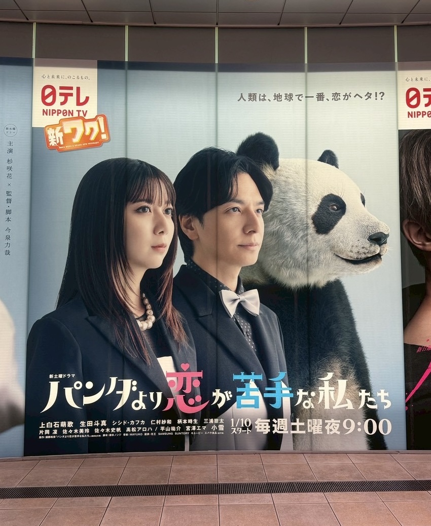 🐼𝟐𝟎𝟐𝟔年𝟏月𝟏𝟎日(土)よる𝟗 時🌿 パンダより恋が苦手な私たち
