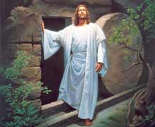 Capitán General de los Tercios tweet media