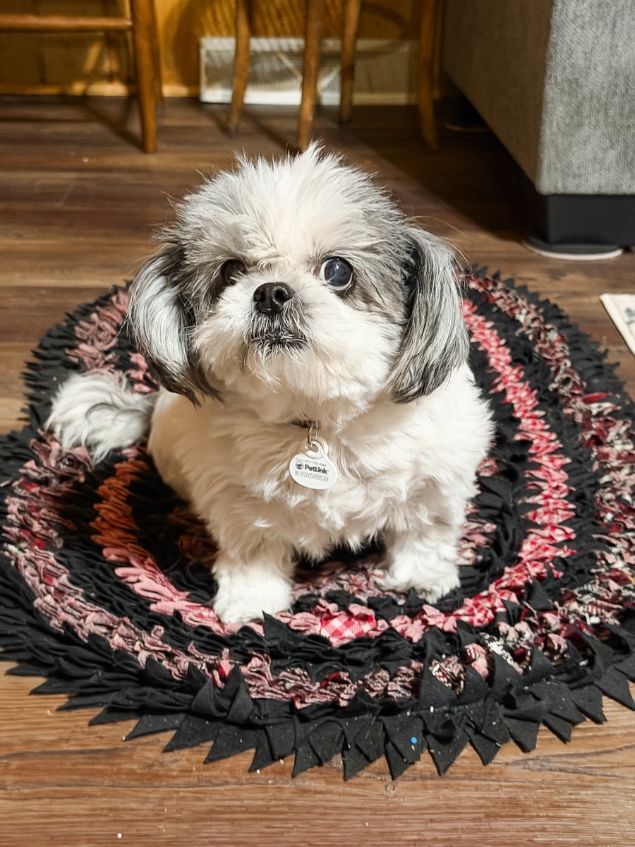 Nothing emptier than your pet's trust right now. 💦🐶 #RefillPlease perpetualwell.com/shop/