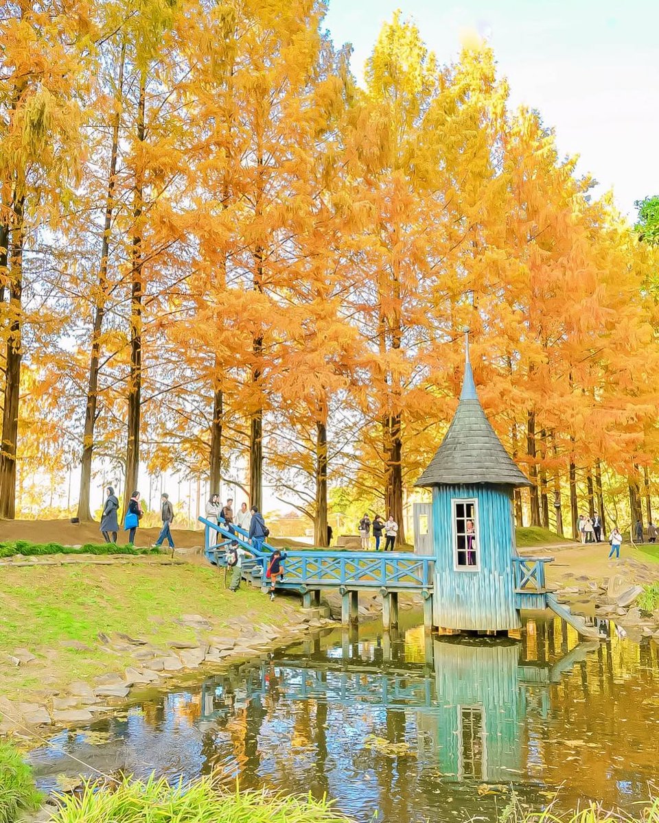 トーベ・ヤンソンあけぼの子どもの森公園［埼玉県］ #花のある風景