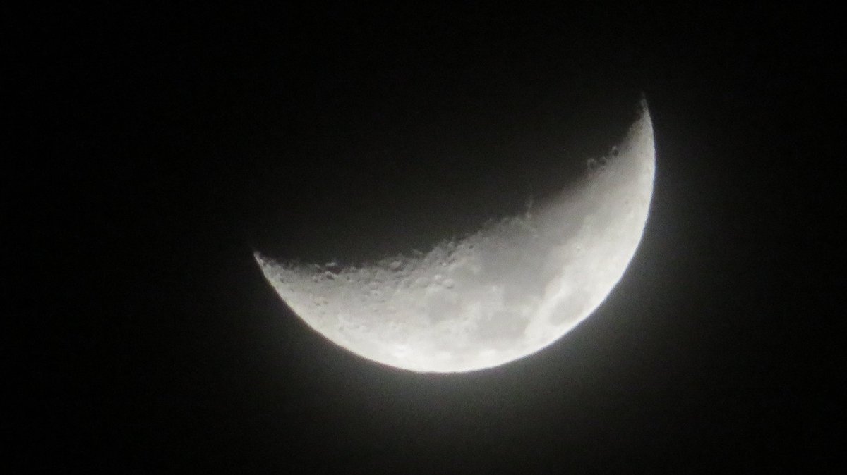 I have a box of NC knick snacks to unwrap. I was a farm hand to a sweet fam. I enjoyed all here and a few who weren't. Your presence felt. Thank you all again, and if I missed your post, New Year's coming. Thank you for sharing my poetry. Nite nite Patti! #MerryChristmas2025