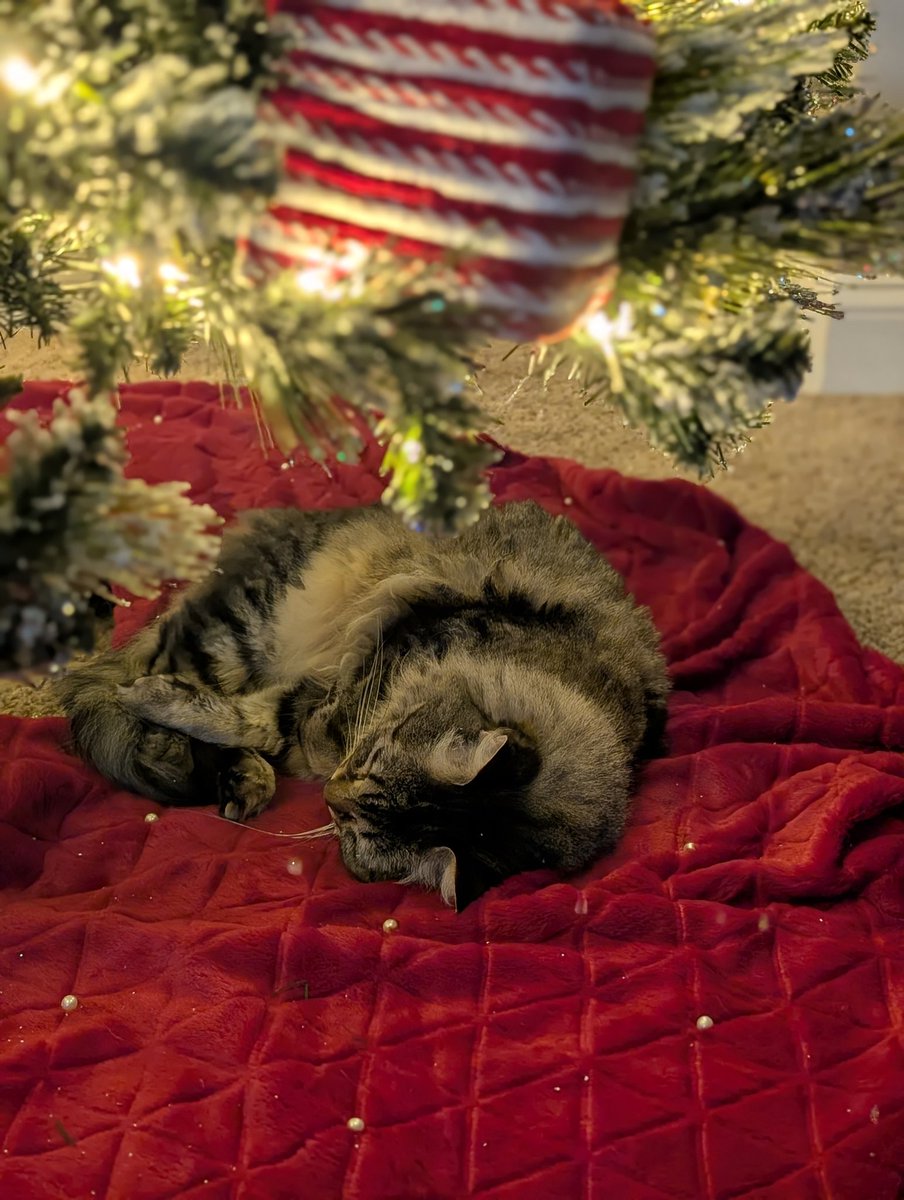 Christmas night vibes! ❤️