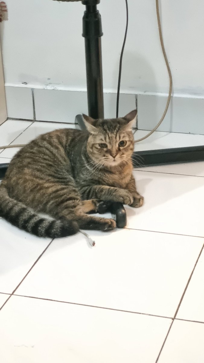 ✈️✈️✈️✈️✈️✈️