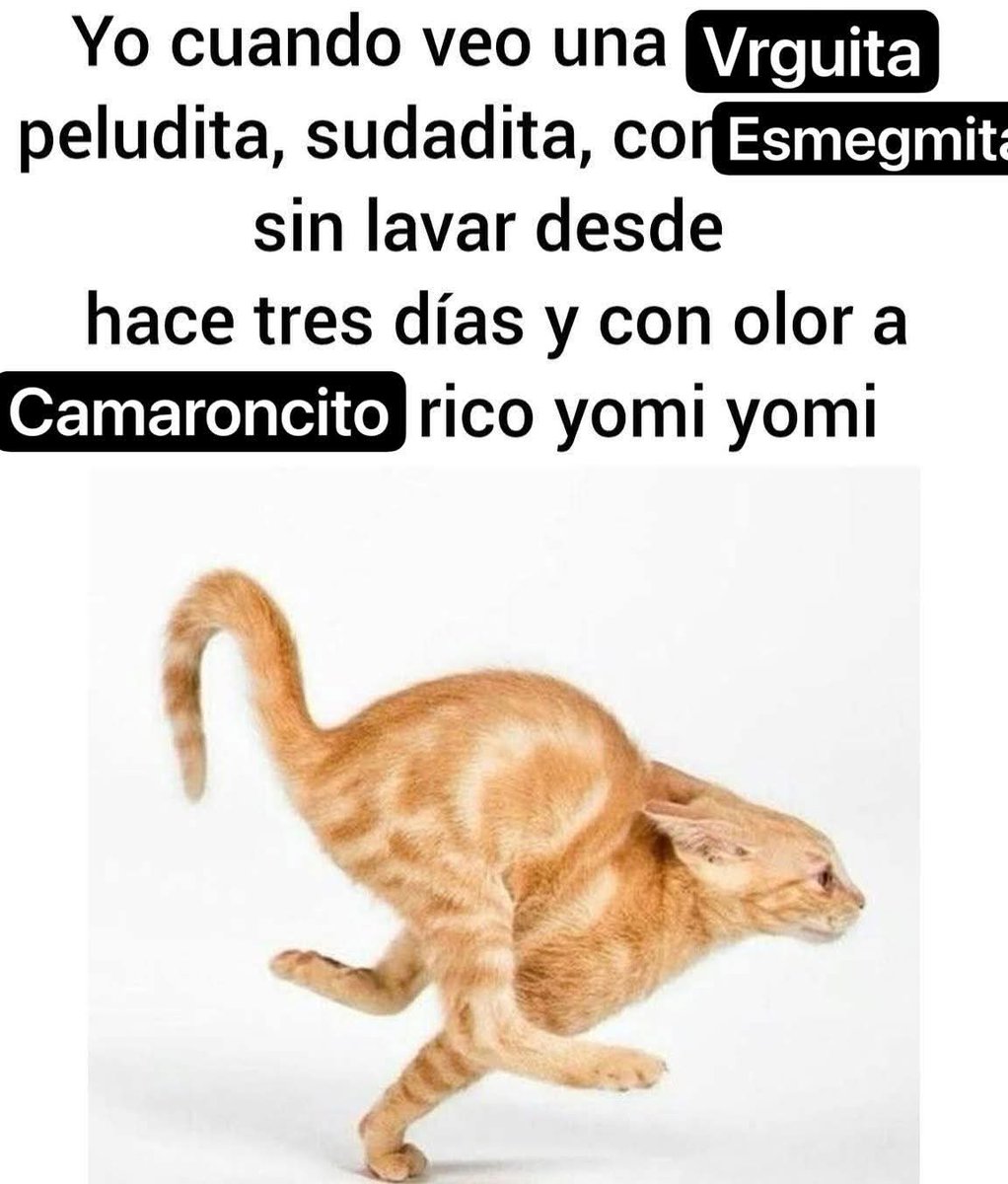 Candle🕯 tweet media