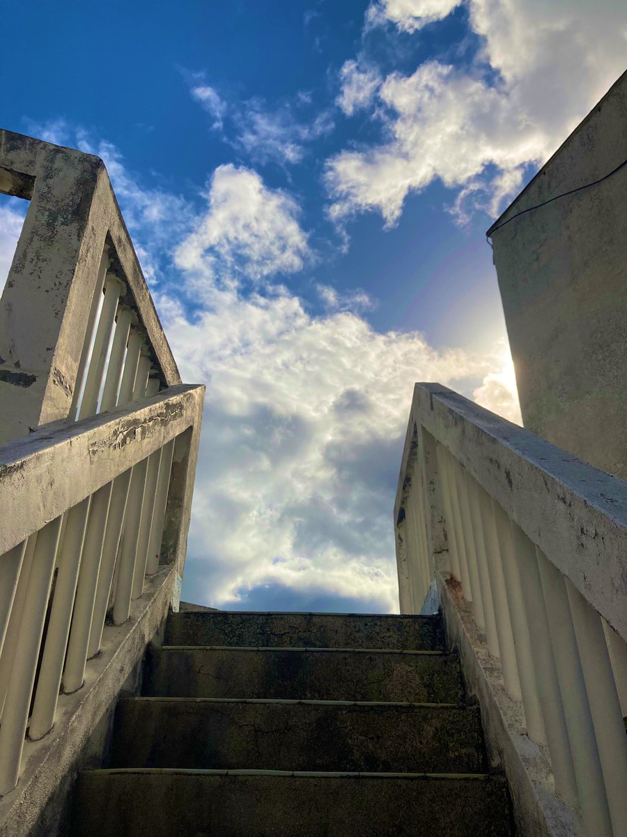 しげやん🍷🍶 (@xy3z9P8ES0Rtc8E) / Posts / X