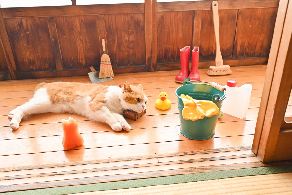 りるにゃページ にゃっぷる vol.4 | necoya books web store