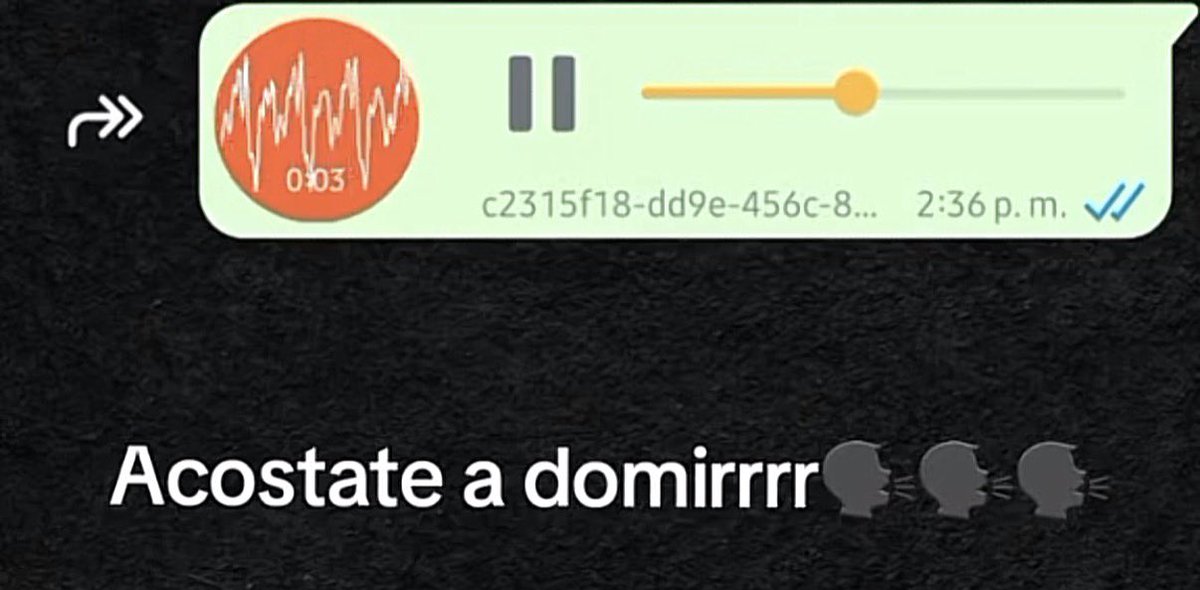 anderosh's tweet image. Yo viendo en sus historias que muchos de ustedes aún andan a esta hora de fiesta en la calle, sin dejar descansar a la gente en sus casas: