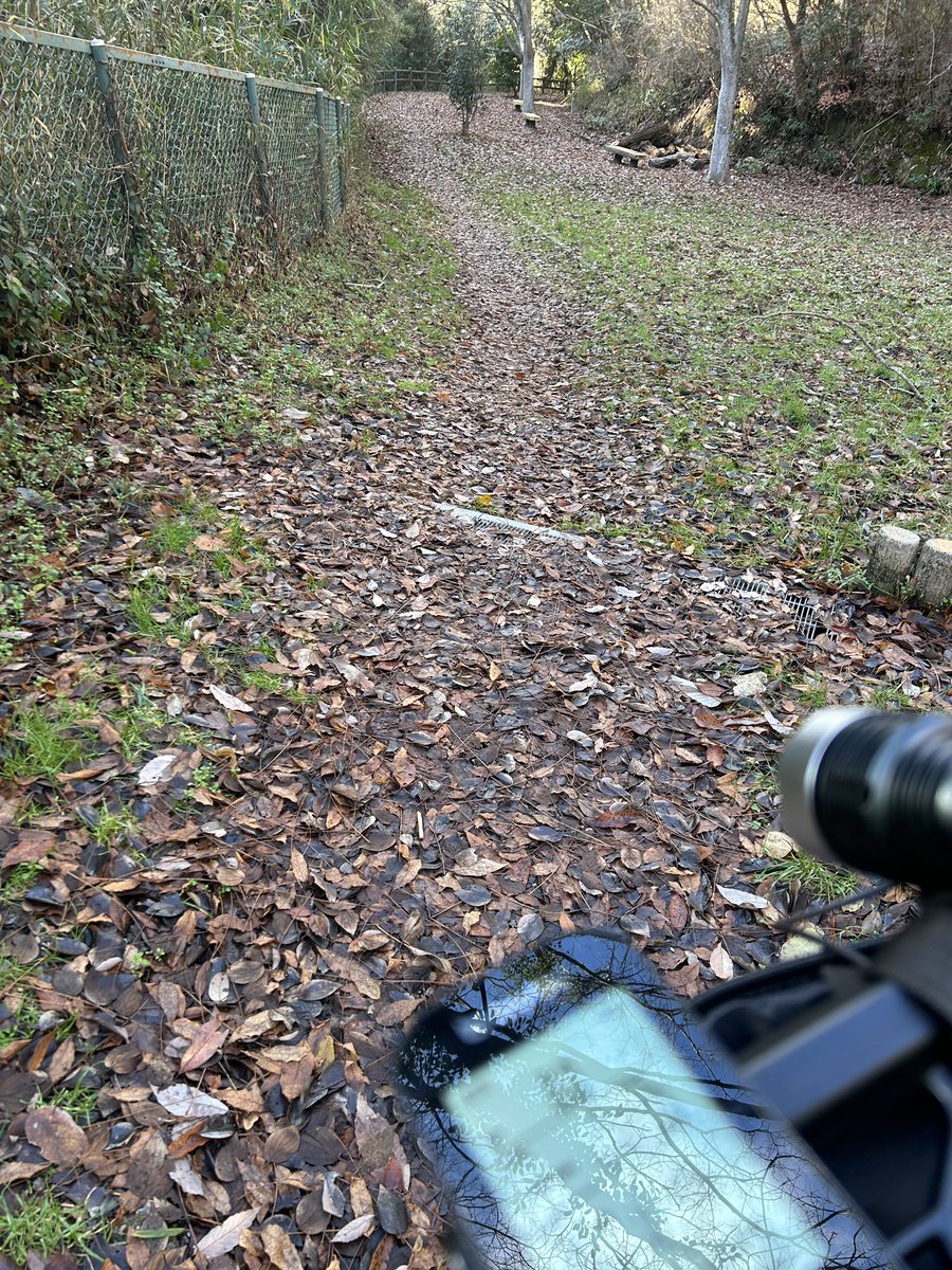 twobytwo_sp's tweet image. 今朝はよく冷えてます。
古タイヤチューブレスレディの試しと
カロリー消費にご近所ポタリング🚴
やっぱりタイヤ買わないとダメかな😓
まあ、消耗品やからしゃあないなぁ